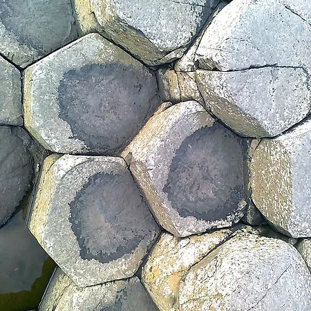 Semesterbostad Dillon's Monneill