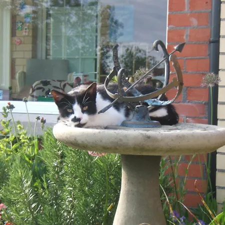 Dillon's Holiday home *