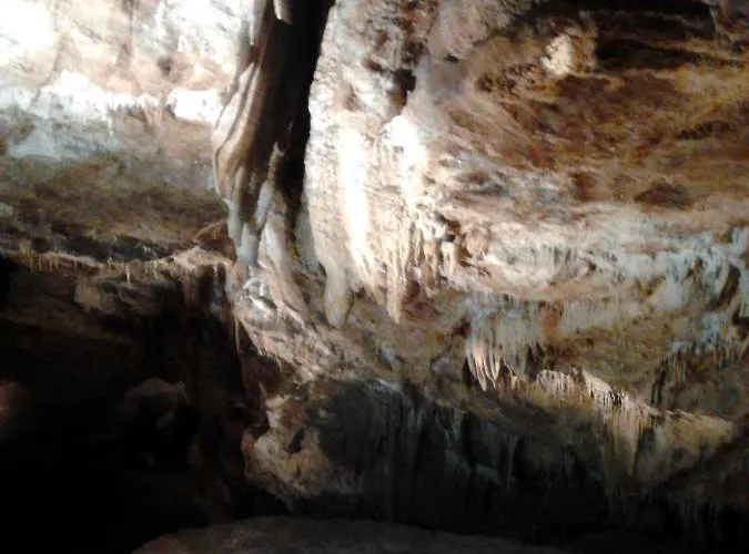 Hébergement de vacances Dillon's *