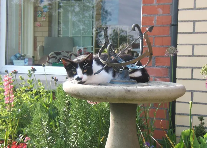 Dillon's Hébergement de vacances *